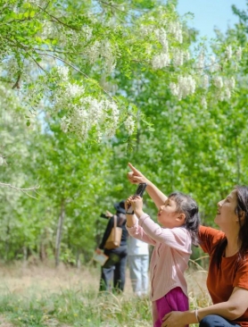 维生素C是苹果的10倍！这种花营养丰富又鲜美